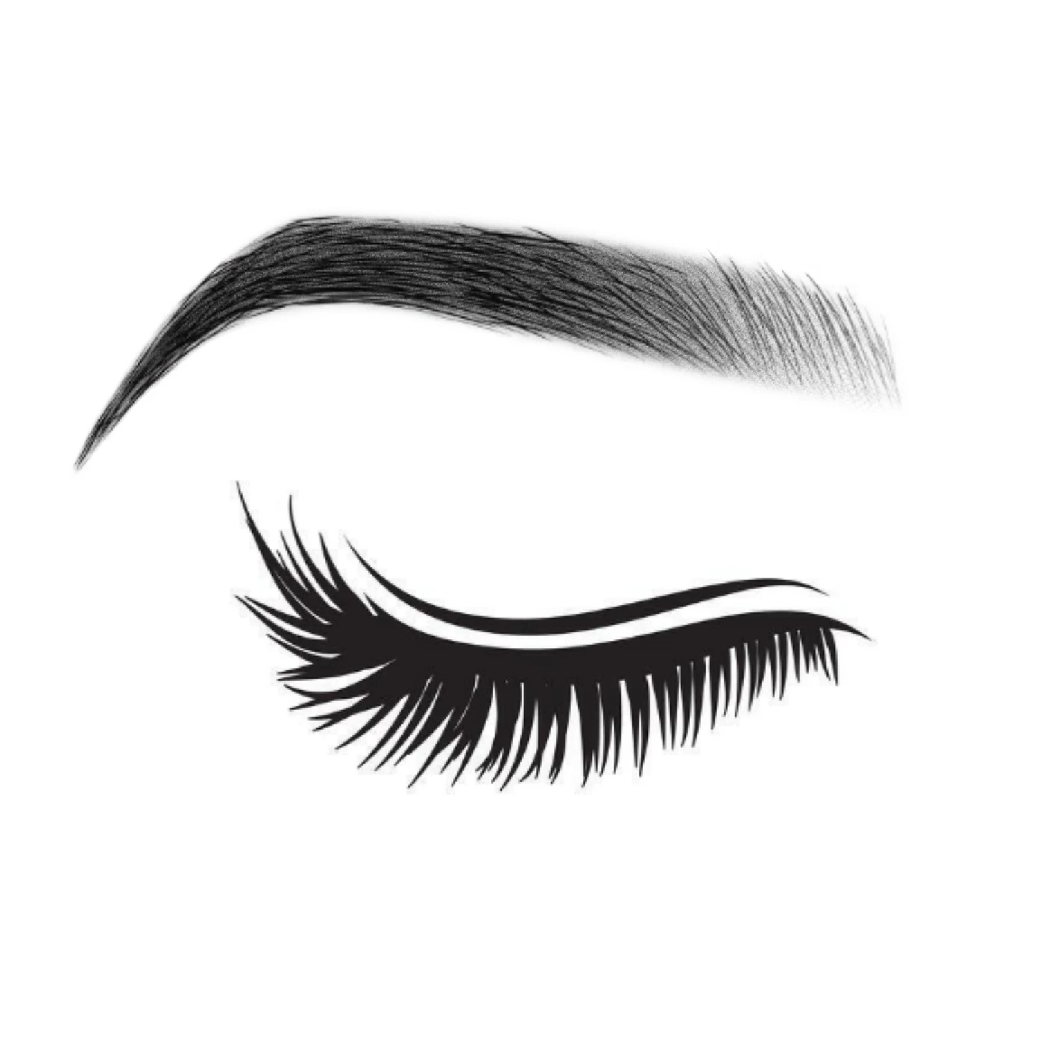 Sourcils poudrés